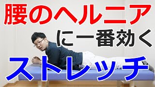 腰のヘルニアに一番効くストレッチ！大阪の整体『西住之江整体院』 [upl. by Ahsaeym631]