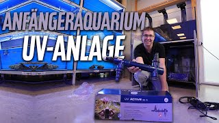 UV für das MEERWASSERAQUARIUM  Das Anfängerbecken bei PlanktonPlus Aquaristik [upl. by Tacklind]