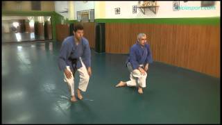 Goshin Karate Jutsu 4 Caidas [upl. by Laws]