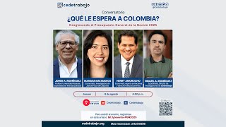 Desglosando el Presupuesto General de la Nación 2025 ¿Qué le espera a Colombia [upl. by Tosch]