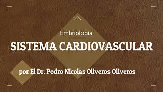 Embriología Cardiovascular parte 2 [upl. by Keating]