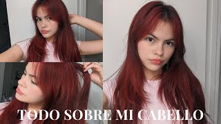 MI RUTINA DE CABELLO  HAIR PRODUCTS  AMPARO VASQUEZ [upl. by Goetz]