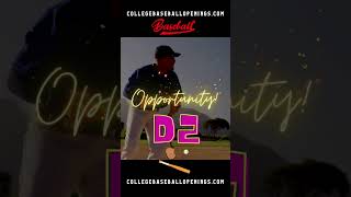 NCAA D2 OPPORTUNITIES FOR UNCOMMITTED BASEBALL PLAYERS – ALL POSITIONS 2025 baseballrecruiting [upl. by Unity822]