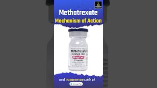 Methotrexate Rheumatoid Arthritis Drug Mechanism of Action methotrexate Drug mechanism [upl. by Nazler]