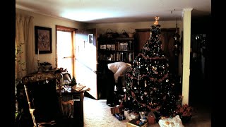 Lyle Bolton Plays the Accordion  1989 Christmas Jam on Jacobs Road [upl. by Forkey]