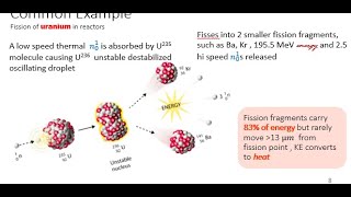 Lecture 5 Fission [upl. by Inoy]