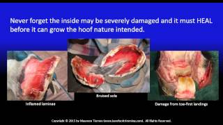 Basics of the HGM Trim [upl. by Clintock]