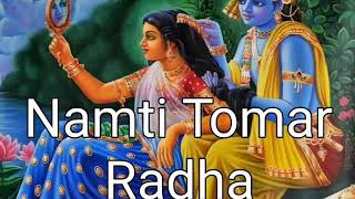 Namti Tomar Radha DJ Song [upl. by Calendra]