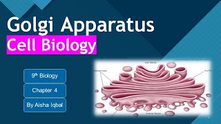 Golgi Apparatus Class 9 [upl. by Possing]