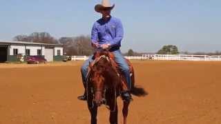 Reining Training  Misconception of a Low Head in Reining [upl. by Notgnimer927]