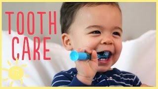 TIPS  TODDLER TOOTH CARE w pediatric dentist [upl. by Pressman]