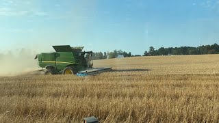 Wheat Harvest In Southern Indiana [upl. by Acebber978]