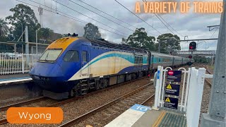 Wyong Trainspotting [upl. by Junette612]