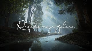 Alen Slavica  Rijeko moja zelena Official lyric video [upl. by Annoeik]