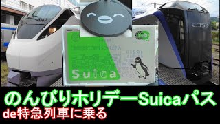 【のんびりホリデーSuicaパス】特急にも乗っちゃうじょ！土浦⇔大月 [upl. by Kelcie]