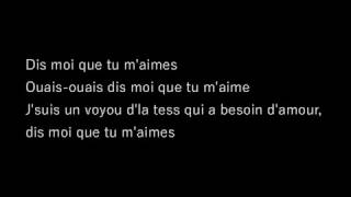 Ninho  Dis moi que tu maimes Paroles [upl. by Sloan]