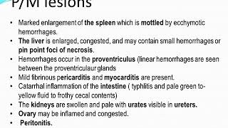 Avian intestinal spirochetosis part 1R [upl. by Etteval]