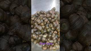 Snail Curry Manipuri Style  Tharoi Thongba In Manipuri Style 😱shortsfeed [upl. by Iline]