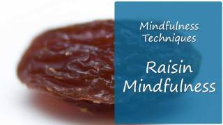 What A Raisin Can Teach You About Mindfulness Practice [upl. by Yatnod782]