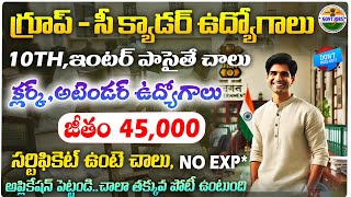 గ్రూప్ సీ క్యాడర్ జాబ్స్ వచ్చేశాయి  Latest Govt jobs in Telugu  Central University jobs JobSearch [upl. by Seidler]