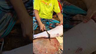 Amazing Rohu Fish Cutting Skills In Bangladesh Fish Market By Expert Cutter shorts [upl. by Ephraim]