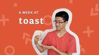 A Week at Toast Software Engineering Intern in Boston  16 Weeks of Internships [upl. by Merill]