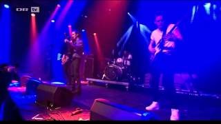 Blaue Blume  Live  Koncerthuset Copenhagen 2014 [upl. by Kappenne193]