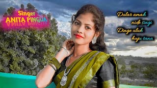 New ho song Dular amah nide singi NITAI PURTY amp ANITA PINGUA stage performance [upl. by Ahsayn]