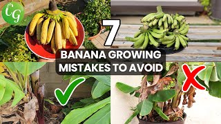 How to Grow a Banana Plant Tips Mistakes and Advice for Gardening [upl. by Esmerelda]