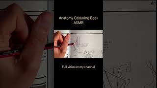 Anatomy Colouring Book ASMR asmr shorts anatomy colouring tingles relaxation [upl. by Malinda]