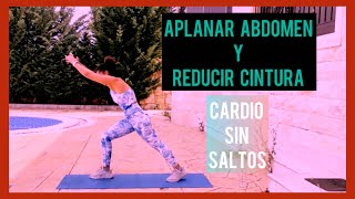 RUTINA Para APLANAR ABDOMEN y REDUCIR CINTURA Cardio Sin IMPACTO 30 Min DE PIE athome [upl. by Elene]