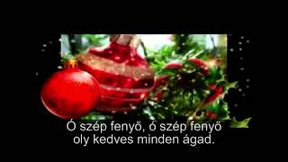 Ó szép fenyő lyrics [upl. by Bozuwa]