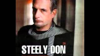 Donald Fagen  Big Noise New Yorkwmv [upl. by Leonteen]