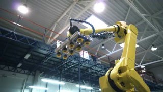 Elinta Fanuc Robot [upl. by Ynove]