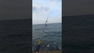 🔥ESTO FUNCIONO🔥🎣pesca de jurel en PESIMO CLIMA [upl. by Galligan644]