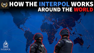 What Is The INTERPOL [upl. by Elleon]