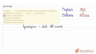 In the isolation of DNA removal of protein and RNA is carried out by enzymes andre [upl. by Past]