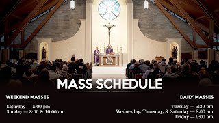 500 PM Mass Saturday August 31 2024 TwentySecond Sunday in Ordinary Time [upl. by Monty]