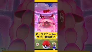 2km歩いてウールーゲット！マックス粒子の注意点を解説！ポケモンgo マックスポケモンダイマックスマックス粒子パワースポット ウールーpokemongo 新道ひかり [upl. by Atiuqer]