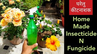 Homemade insecticide n fungicide घरेलु कीटनाशक कैसे त्यार करें [upl. by Niryt]