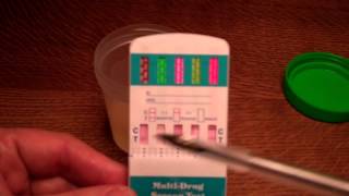 Using the Powdered Urine To Pass a Drug Test  Product Demonstration [upl. by Gupta312]