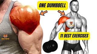 11 BEST SHOULDERS WORKOUT WITH ONE DUMBELL ONLY AT HOME OR AT GYM [upl. by Akenehs]