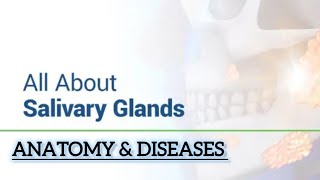 SALIVARY GLANDS ANATOMY amp DISEASES [upl. by Ijan969]