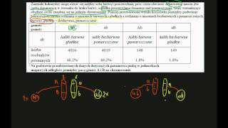 zadanie maturalne  rekombinacja genetyczna [upl. by Vivl458]