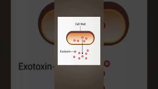 Endotoxin Exotoxin Tamil [upl. by Yoccm]