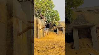 Flip practice  back flip practice video 2024 trending video 2024 viral flip 2024 shorts [upl. by Britta641]