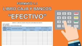 Formato 11 Libro Caja y Bancos  Detalle de los Movimientos en Efectivo [upl. by Yenaffit190]