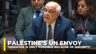 ‘Genocide is only possible because of impunity’ Palestine’s UN envoy [upl. by Syramad589]