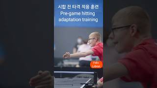 시합 전 타격 적응 훈련 Felix  Pregame hitting adaptation training 試合前の打撃適応トレーニング Latihan adaptasi memukul [upl. by Nollat]