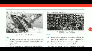 Answers Urbanisation chapter 10 geography class 9 free digest answers master key [upl. by Runkle614]